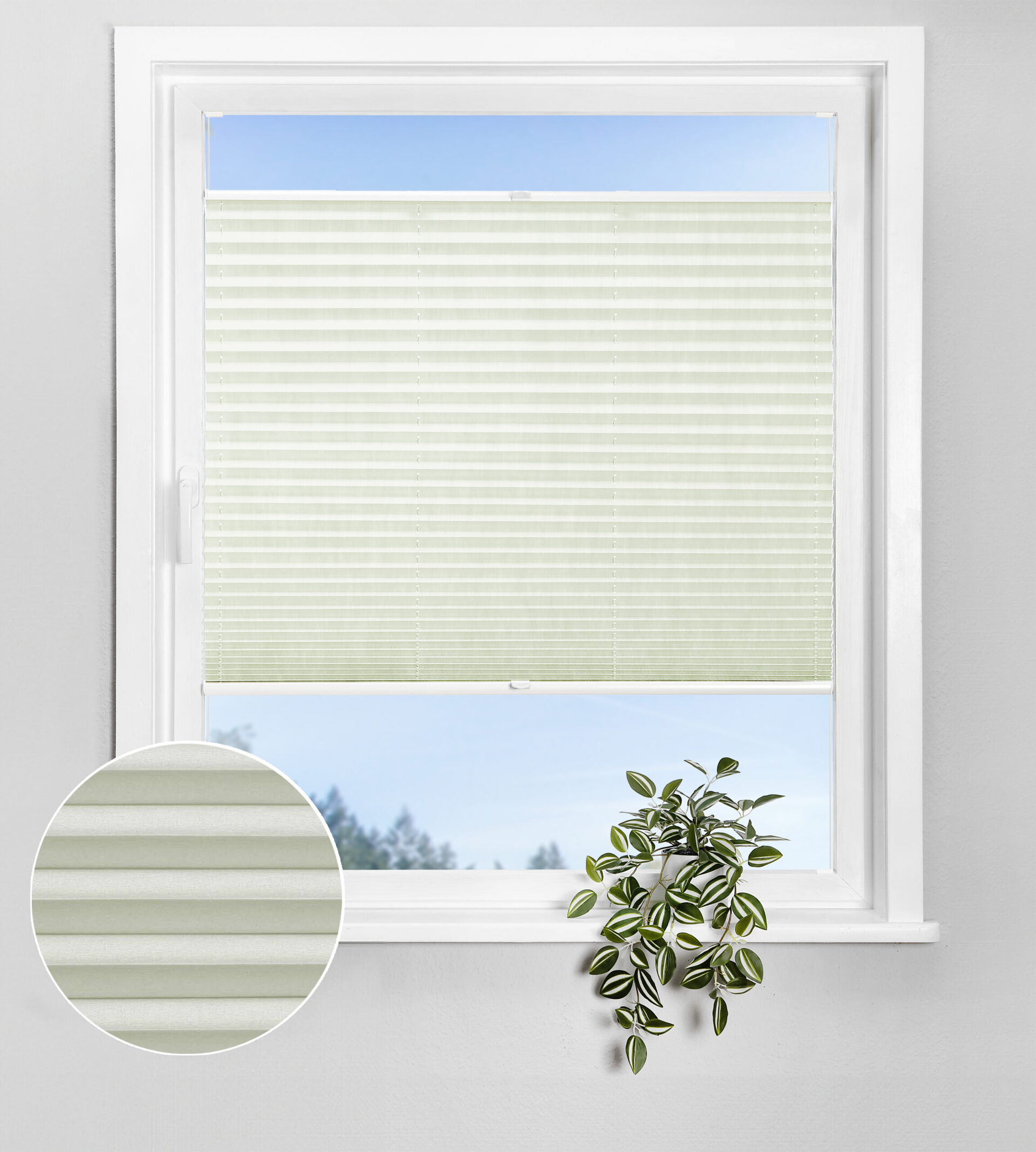 Bohren_Transparent_N570