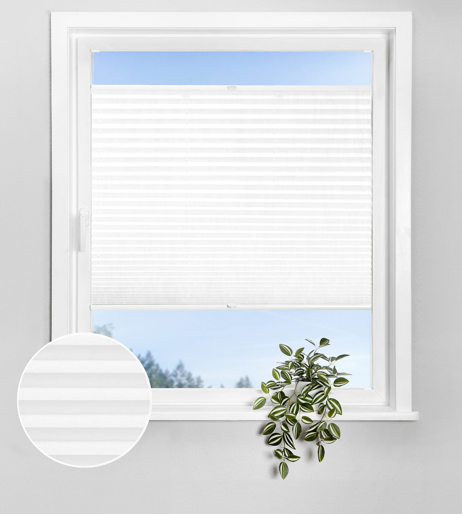 Bohren_transparent_N189