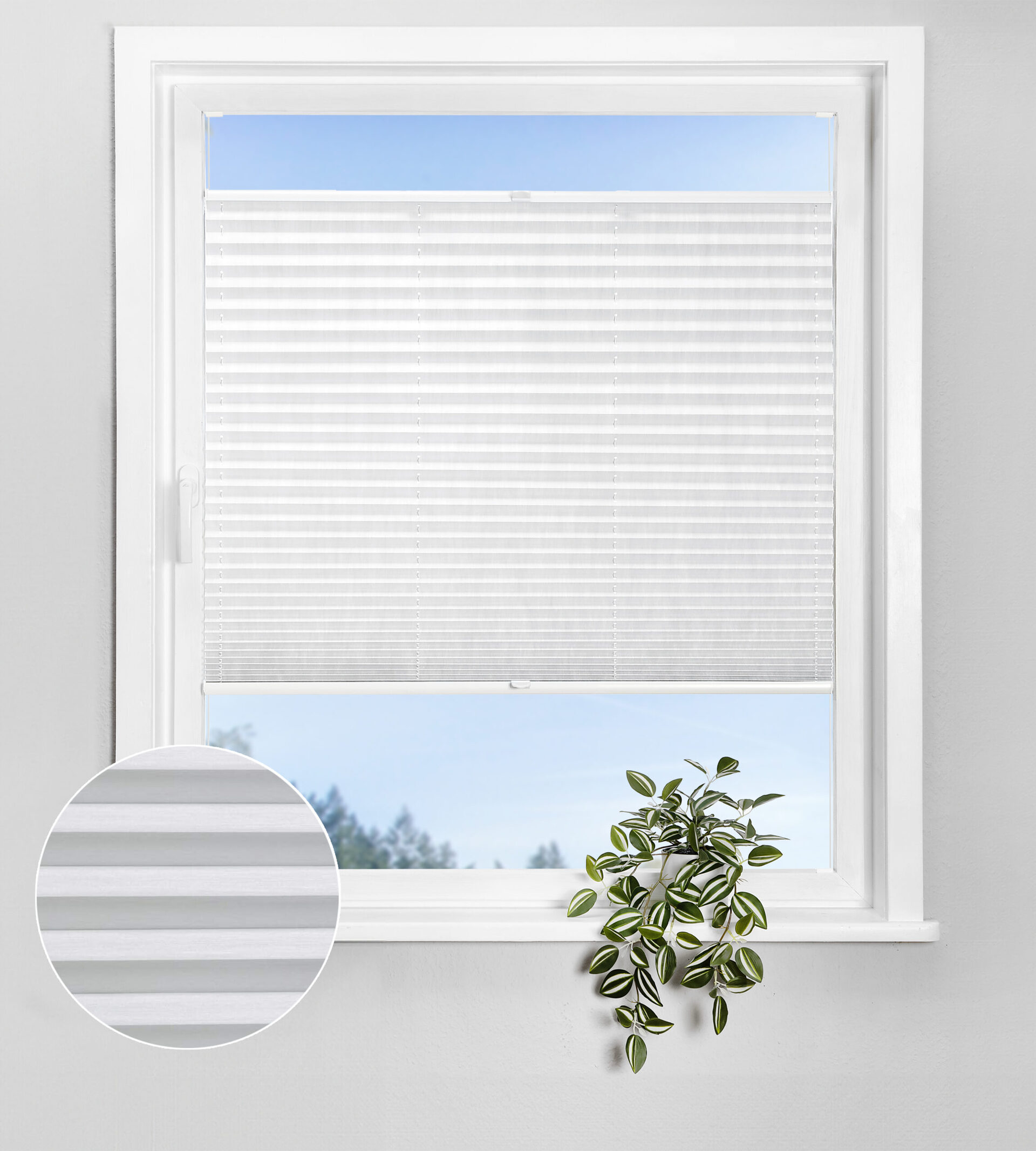 Bohren_transparent_N322